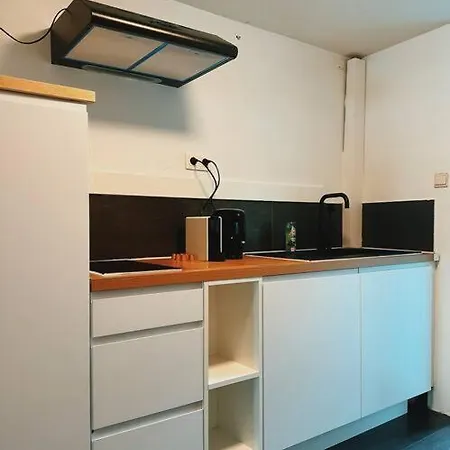 Historic Serenity Διαμέρισμα Γάνδη